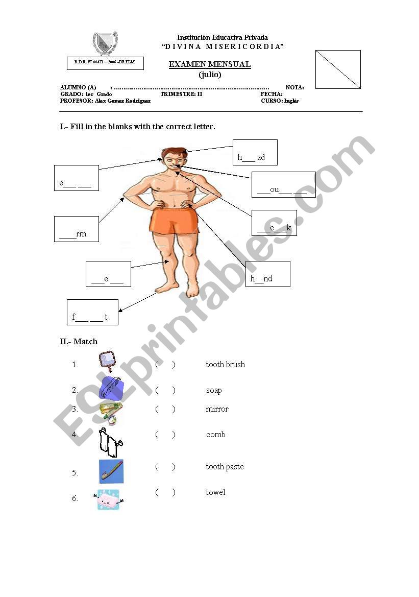 Parts of the body / Cleaning objects