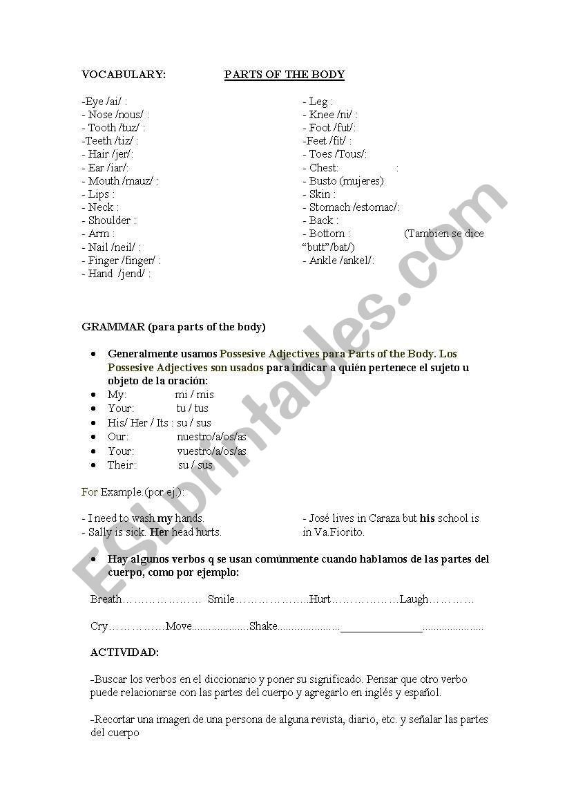 parts of the body worksheet