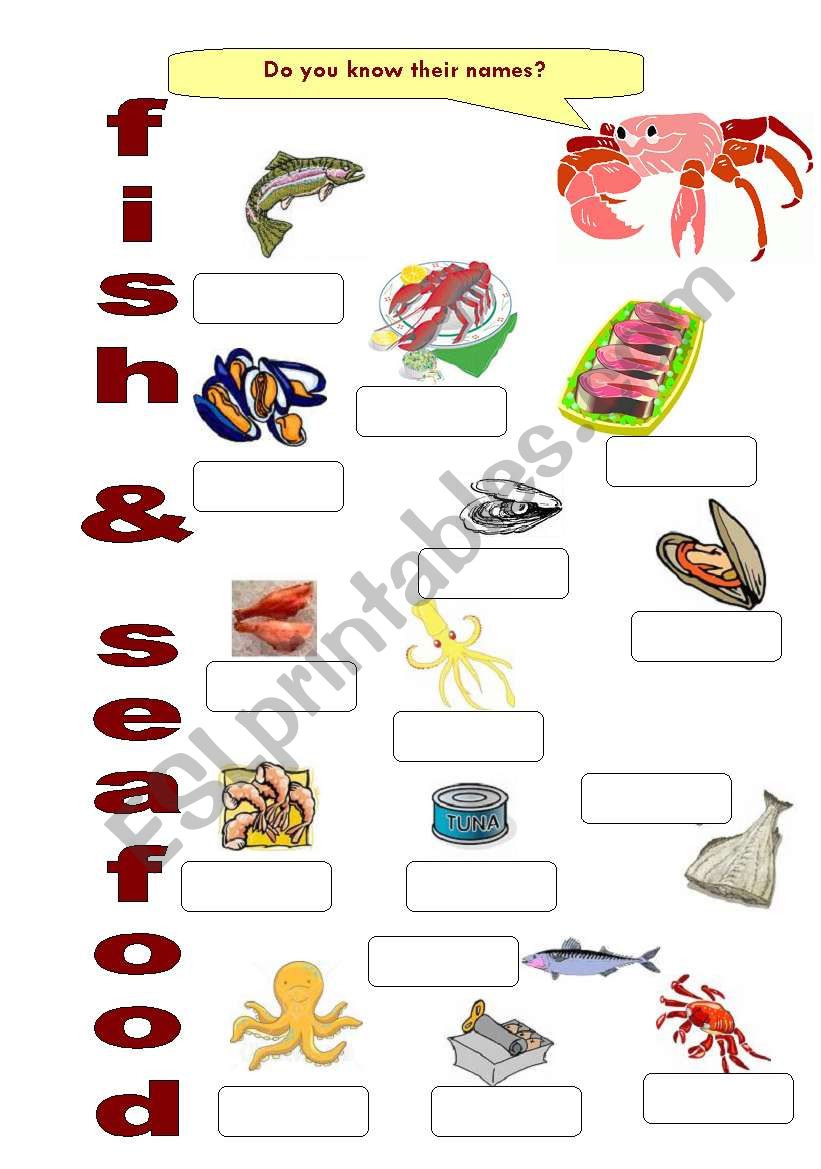 FOOD 4 - Fish & Seafood worksheet