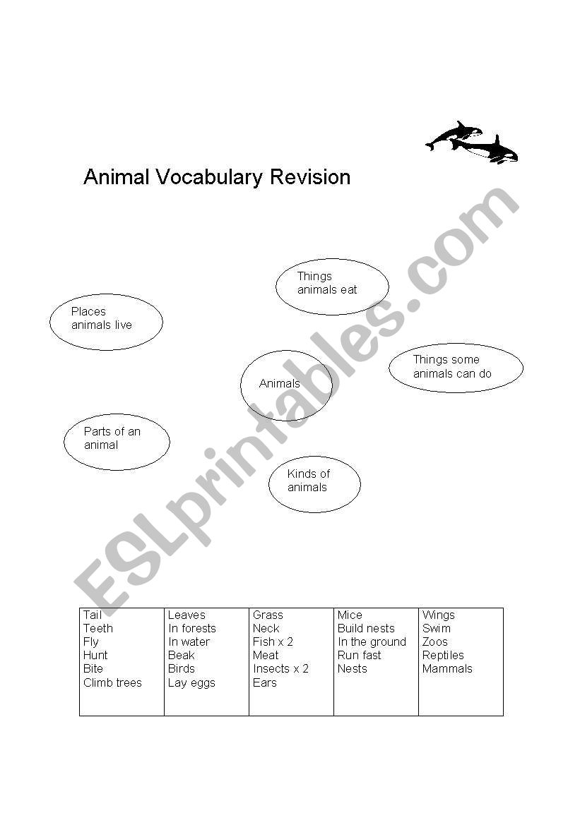 Animal vocab revision worksheet