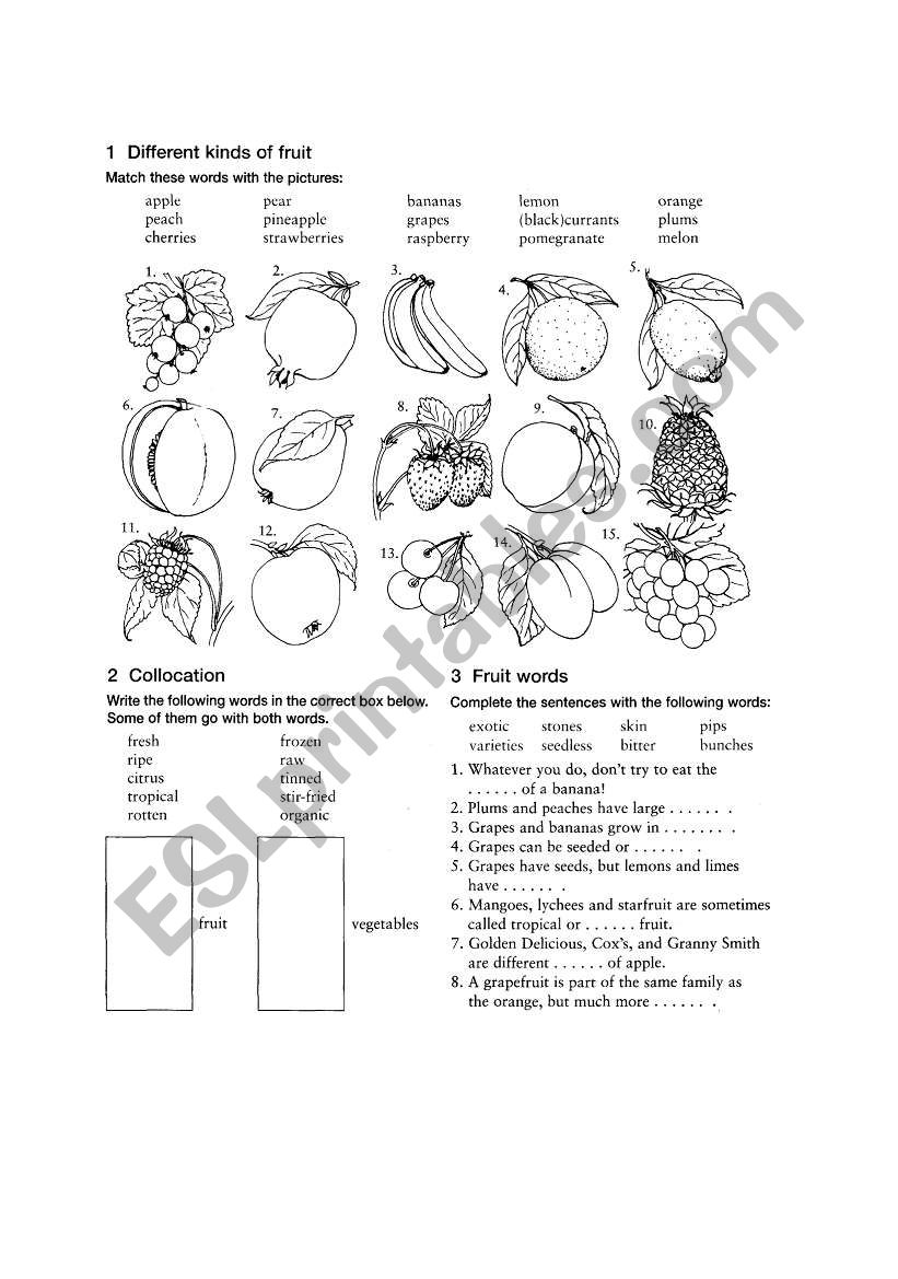 Types of fruits worksheet