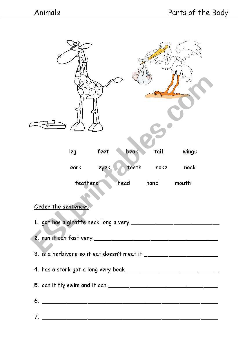 English worksheets: Animals --parts of the body and sentence ordering For Parts Of A Sentence Worksheet