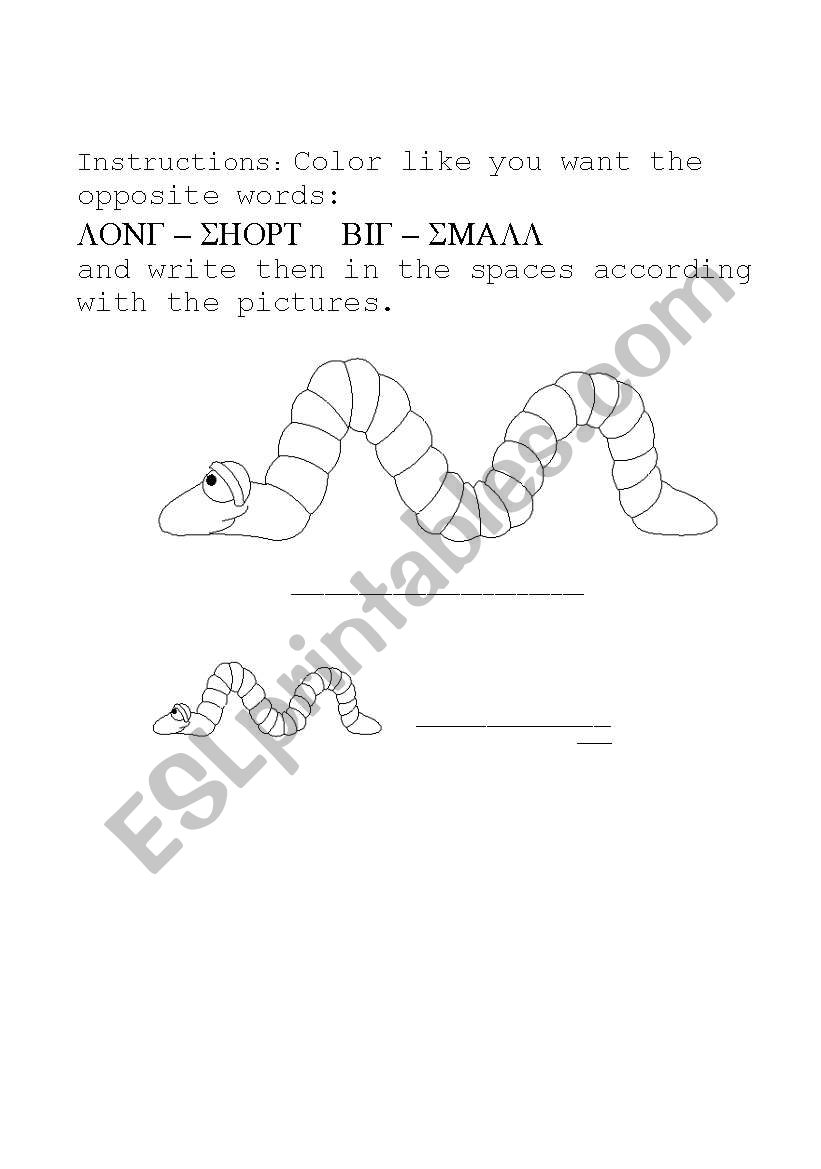 long and short, big and small worksheet