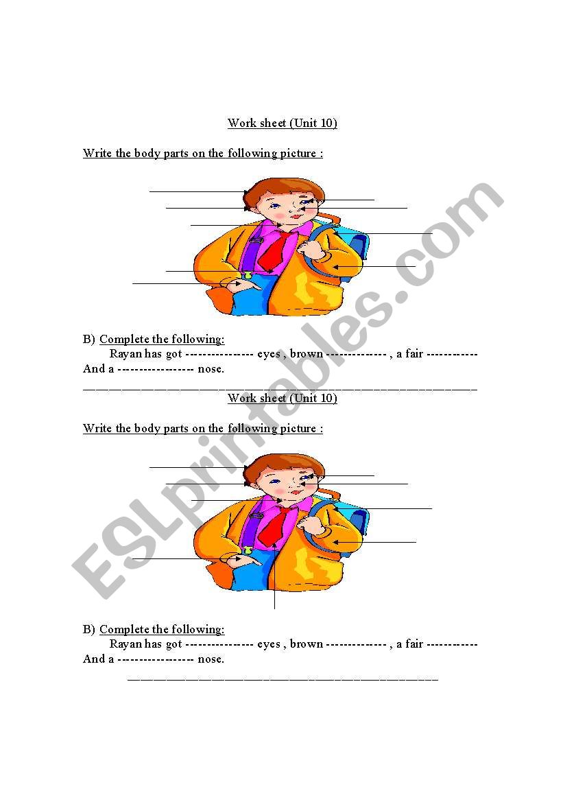 worksheet about the body parts