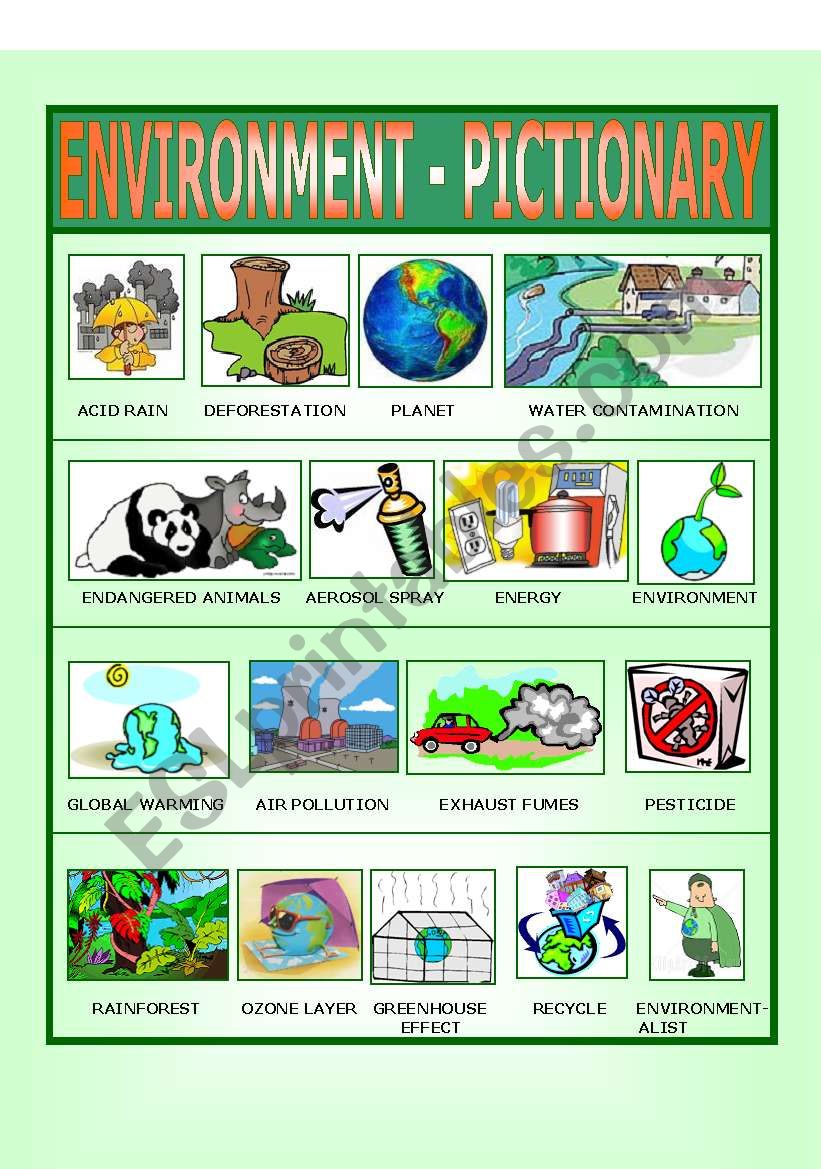 Environment - Pictionary worksheet