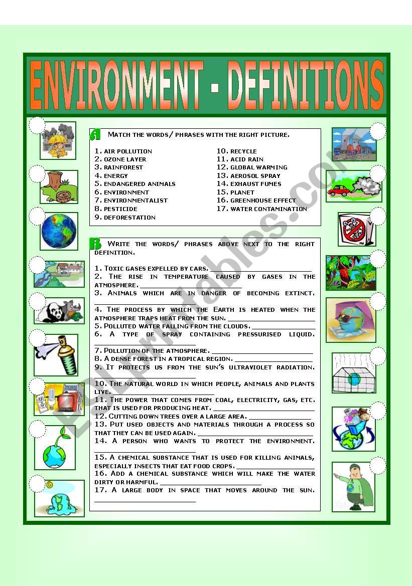 Environment - Definitions worksheet