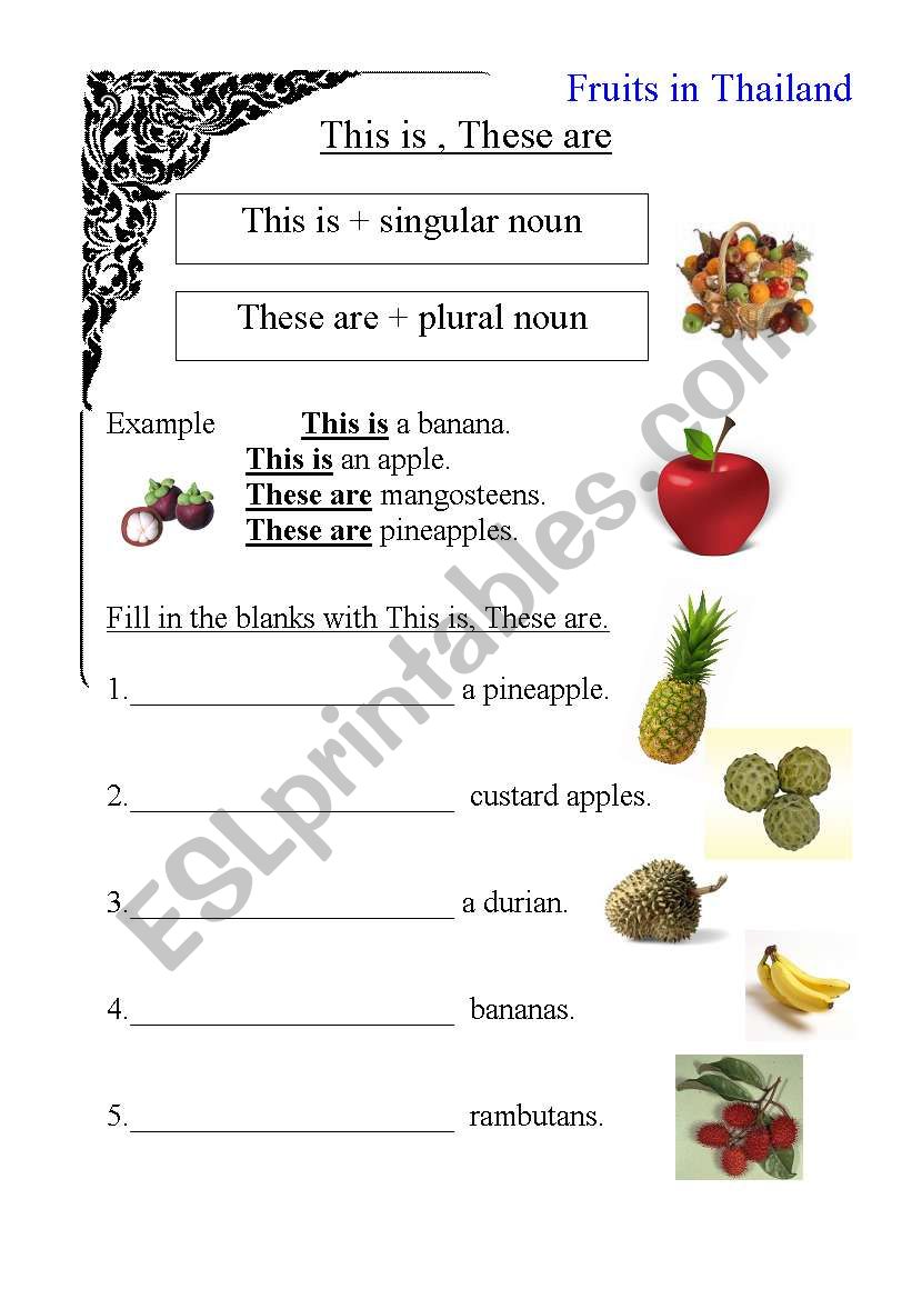 Fruits in Thailand worksheet