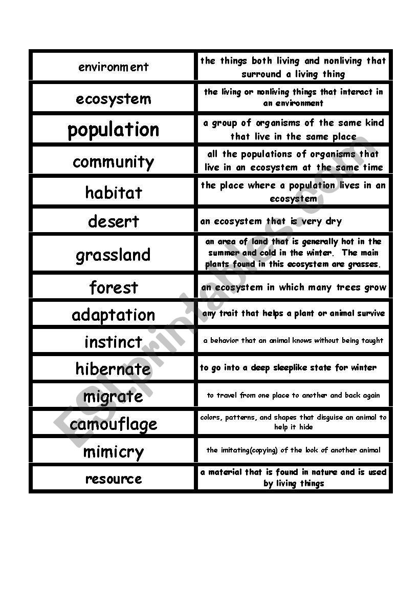 Animals vocabulary game   worksheet