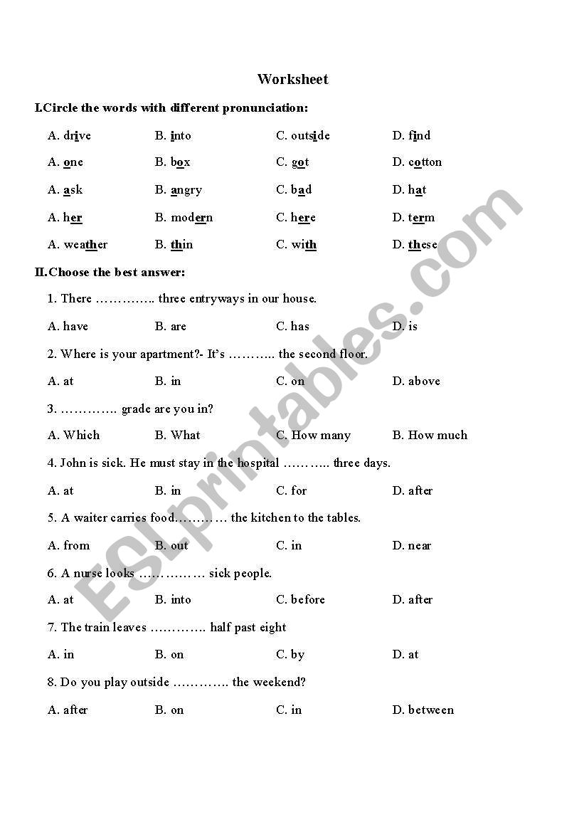 Revision worksheet worksheet