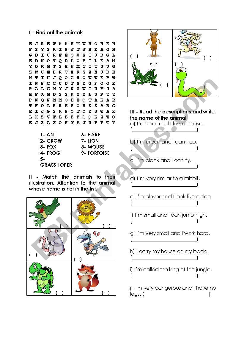 search the animals worksheet
