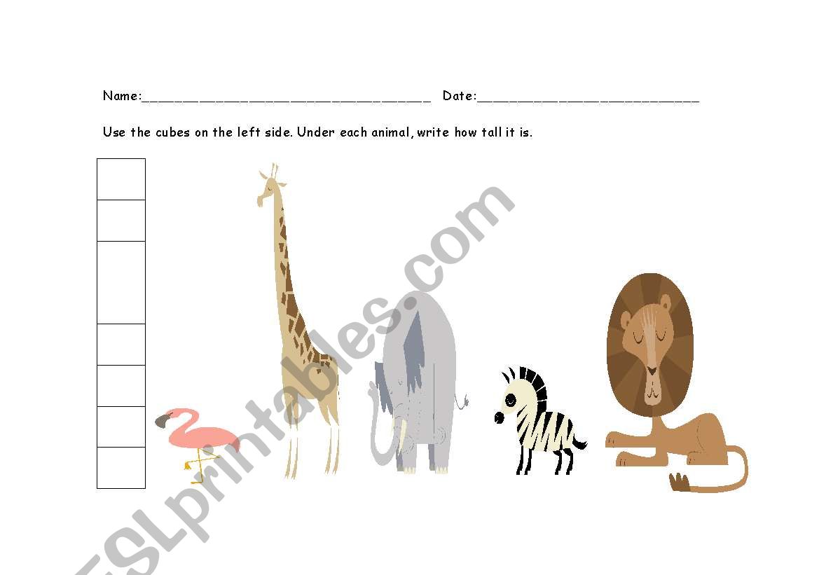 Animal Measurement worksheet