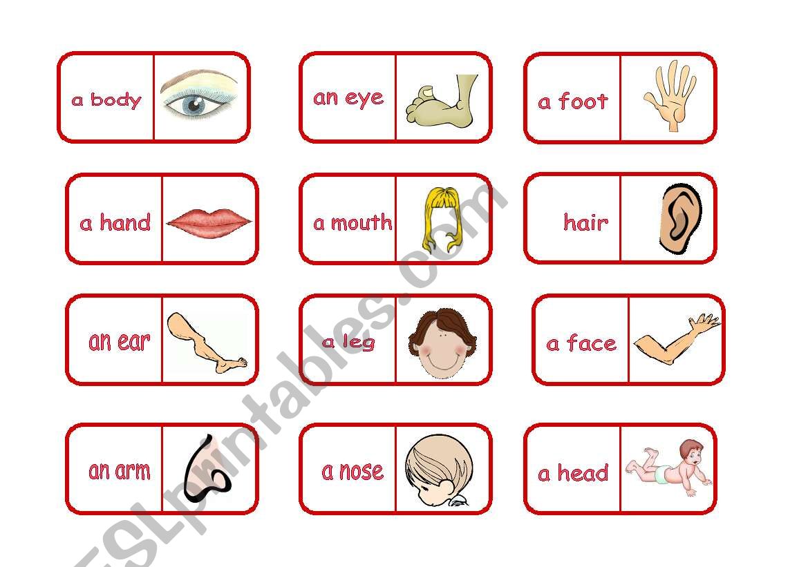 Partes do Corpo - Dominó em Português - Body Parts Domino Game in