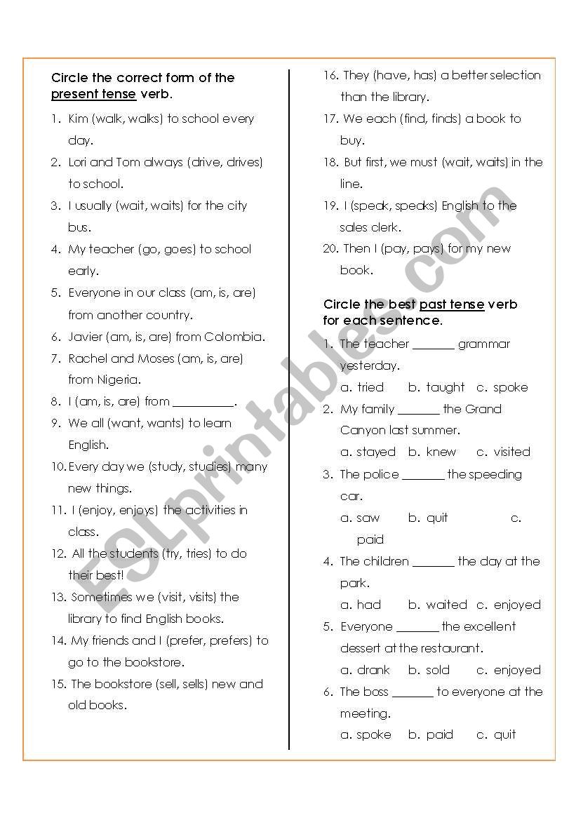 Simple Past and Simple Present Worksheet