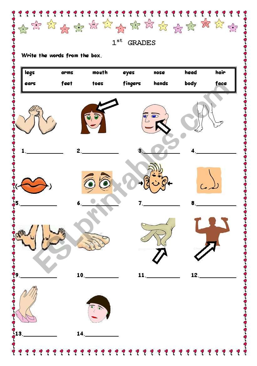 parts of the body worksheet