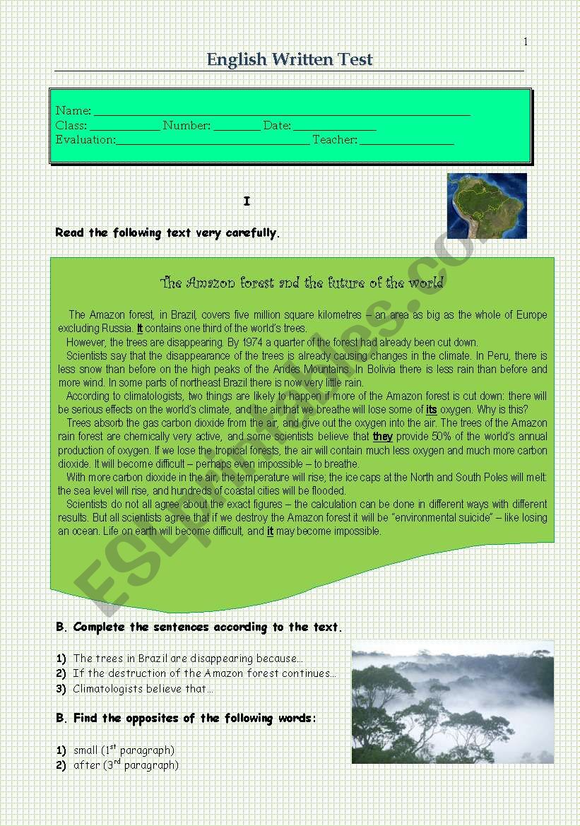 Test- The Amazon forest worksheet
