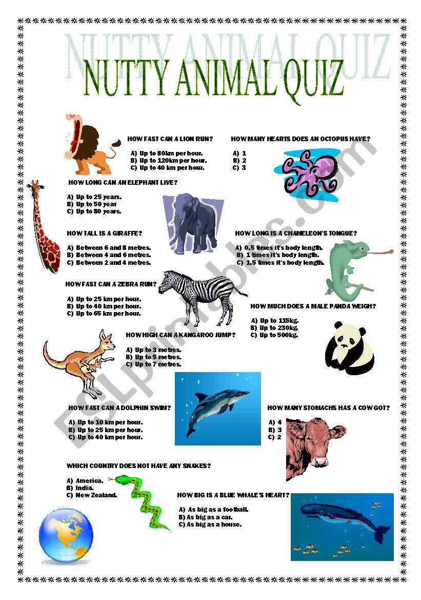 Nutty Animal Quiz worksheet