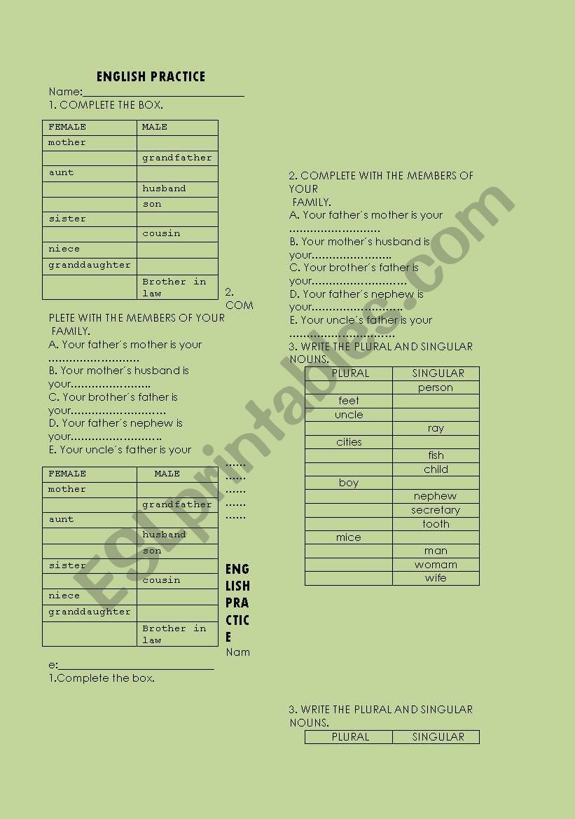 FAMILY AND PLURALS worksheet