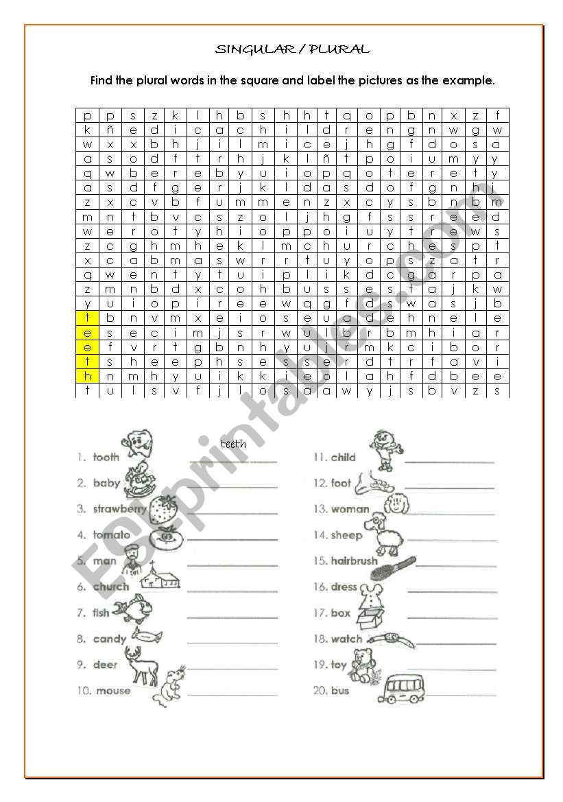 PLURALS worksheet