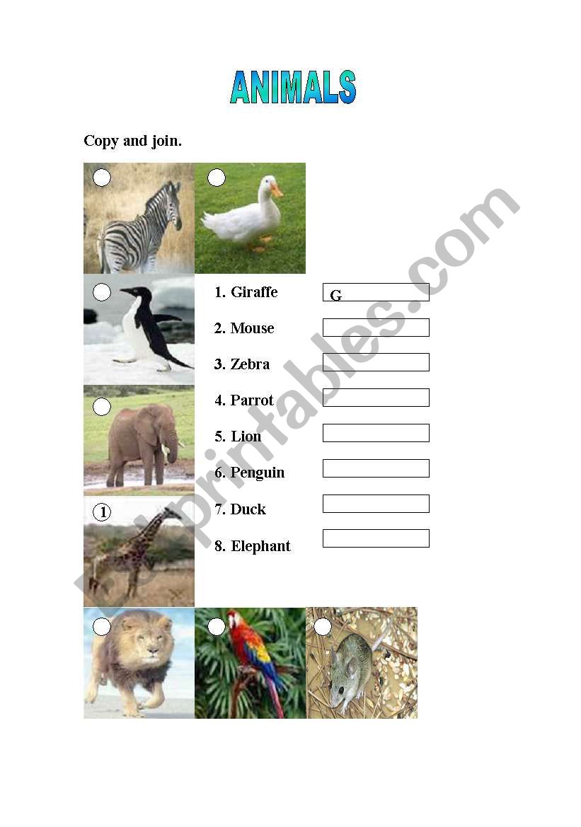 Copy and Label worksheet