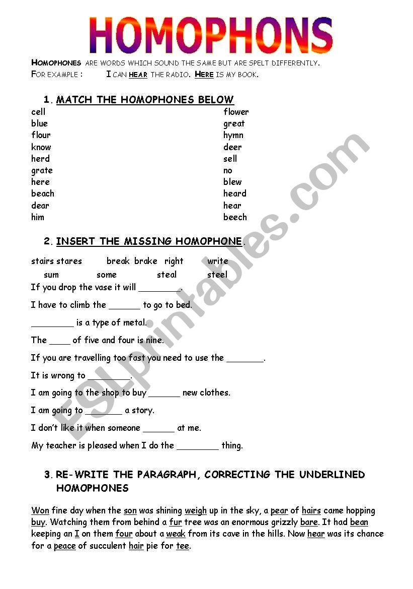 HOMOPHONS worksheet