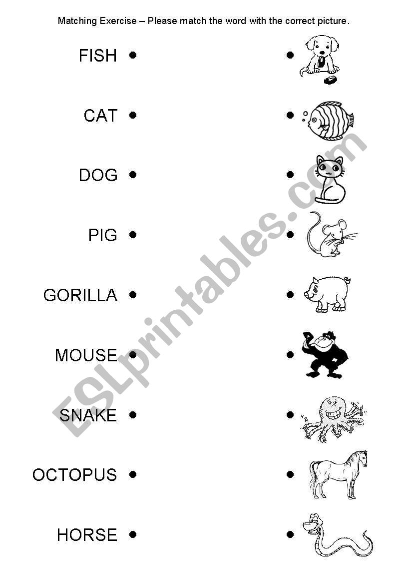 Matching Exercise - Animals worksheet