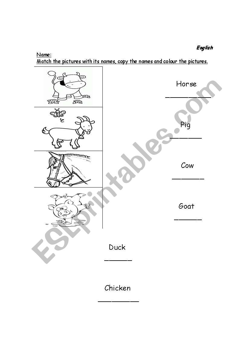 Animals worksheet