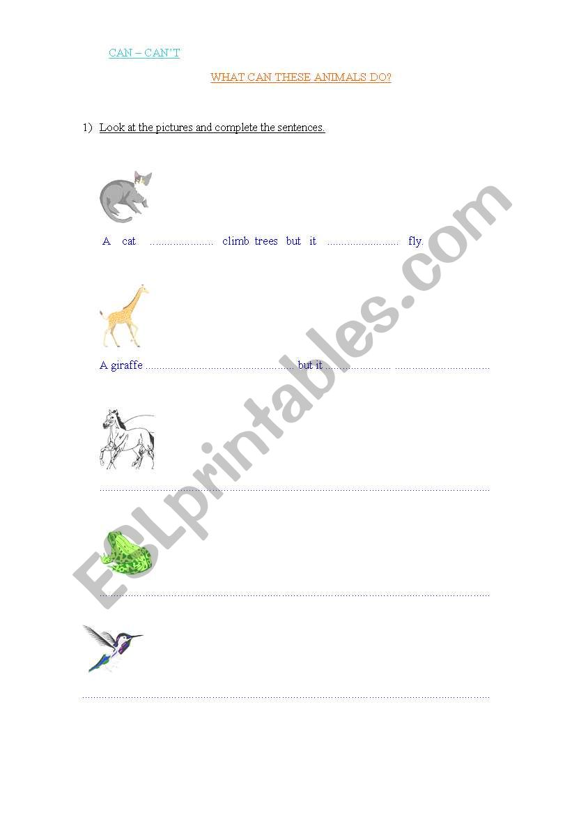 ANIMALS - WHAT CAN THEY DO?  worksheet