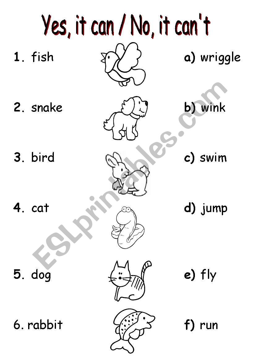 PETS+CAN worksheet