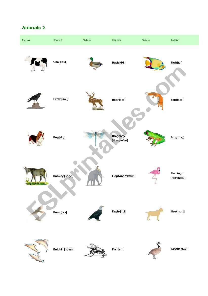 Animals 2 worksheet