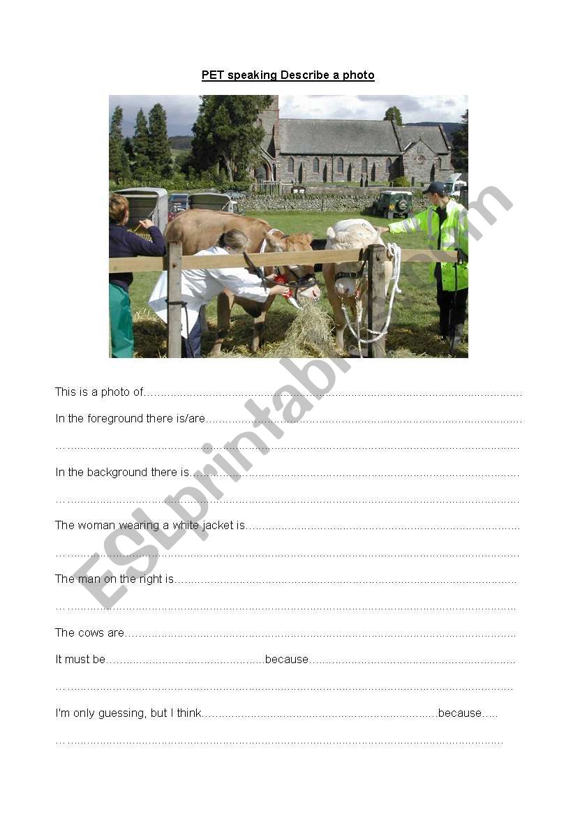 PET speaking Describe a photo worksheet