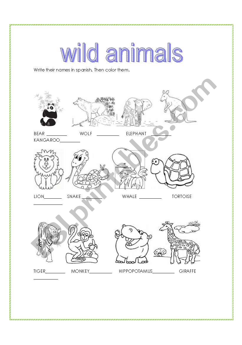 Wild animals worksheet