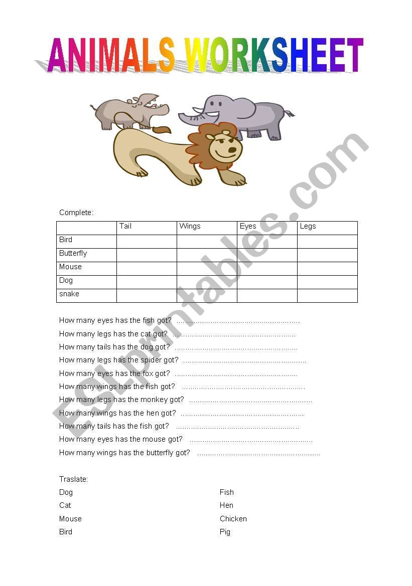 ANIMALS WORKSHEET worksheet