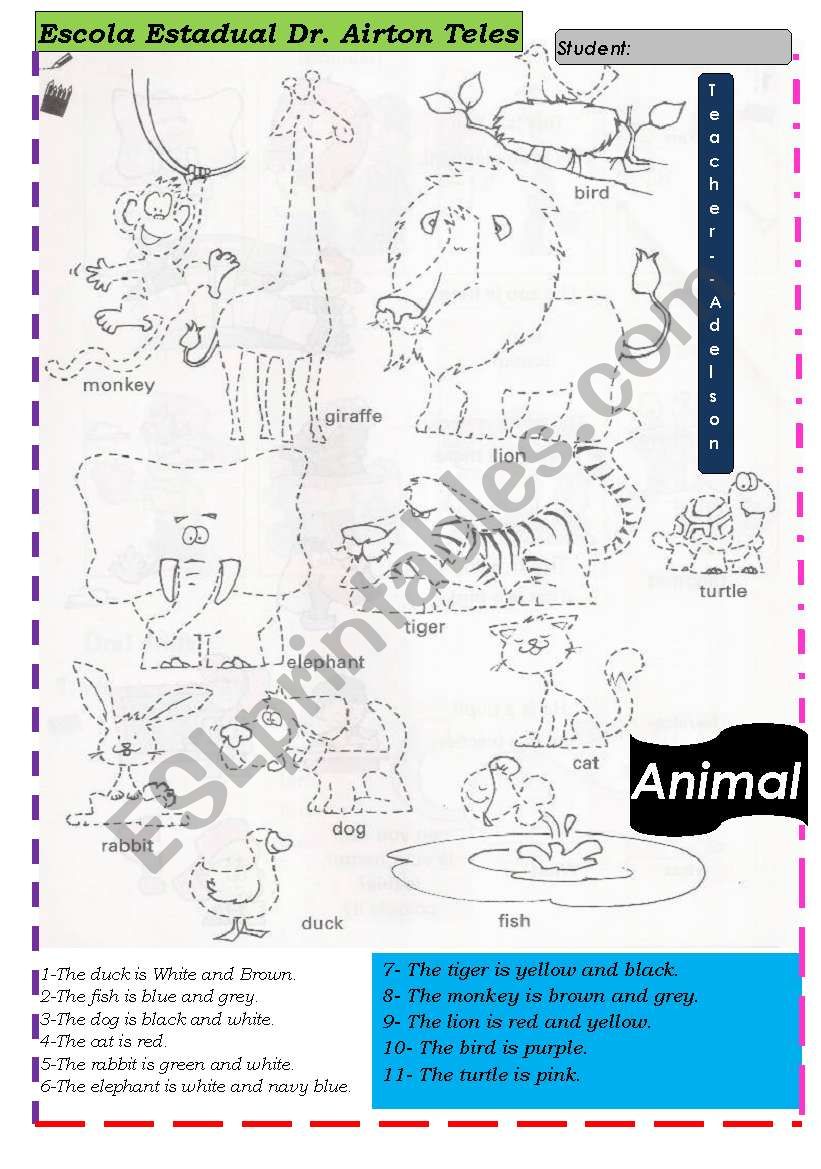 animals and colors worksheet