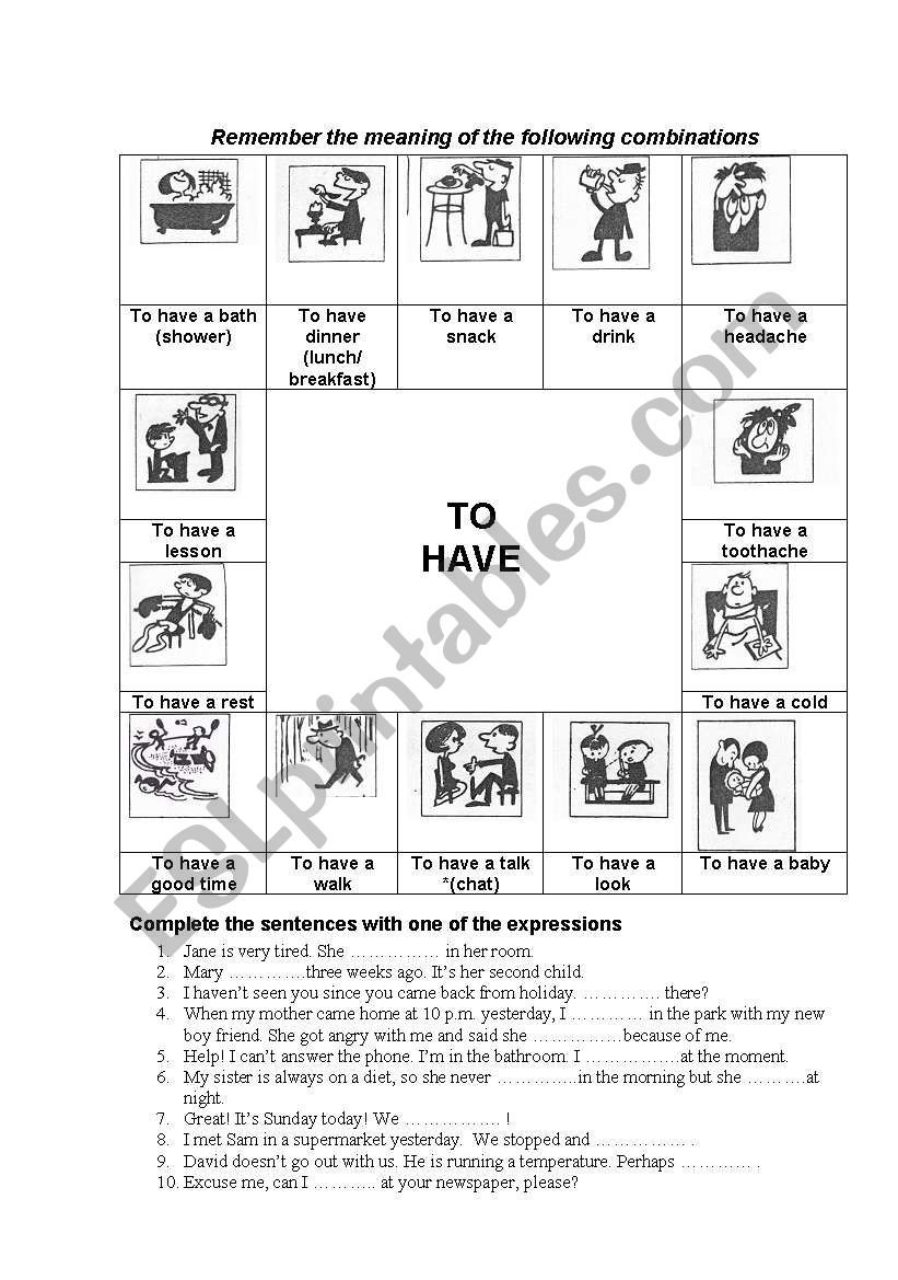 phrases with to Have   worksheet