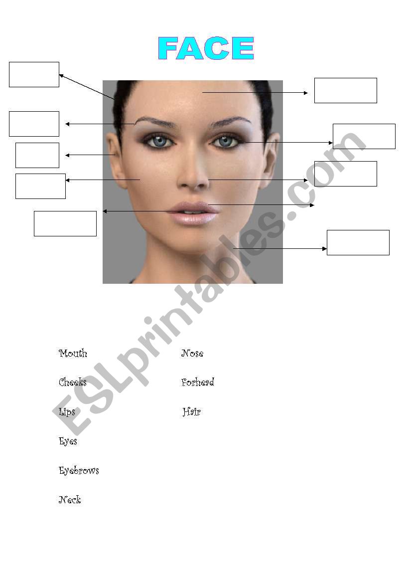 THE FACE worksheet