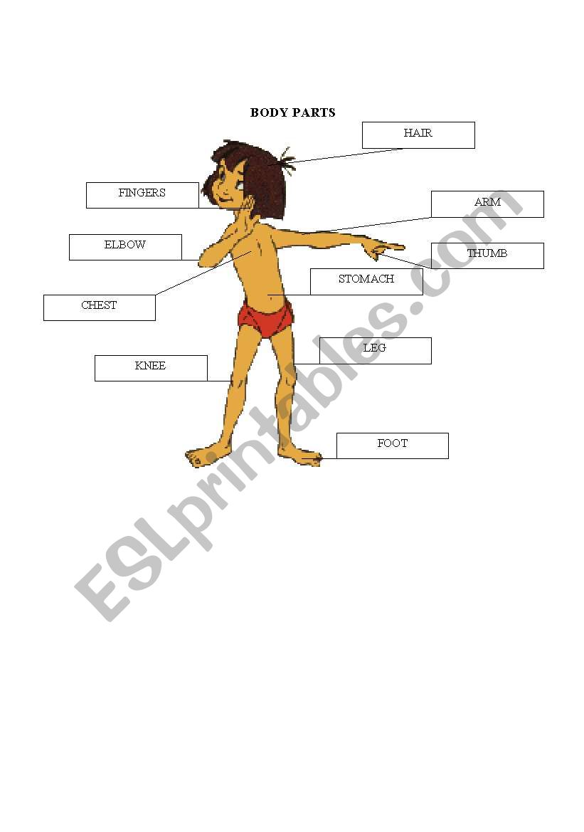 face and body worksheet