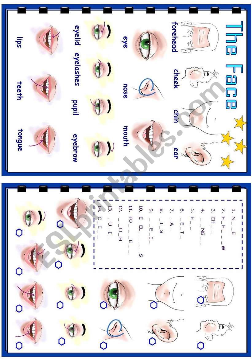 The face worksheet