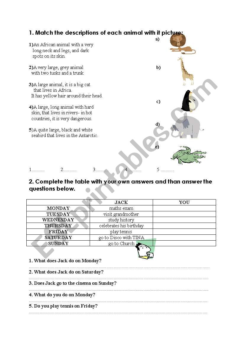 Animals worksheet