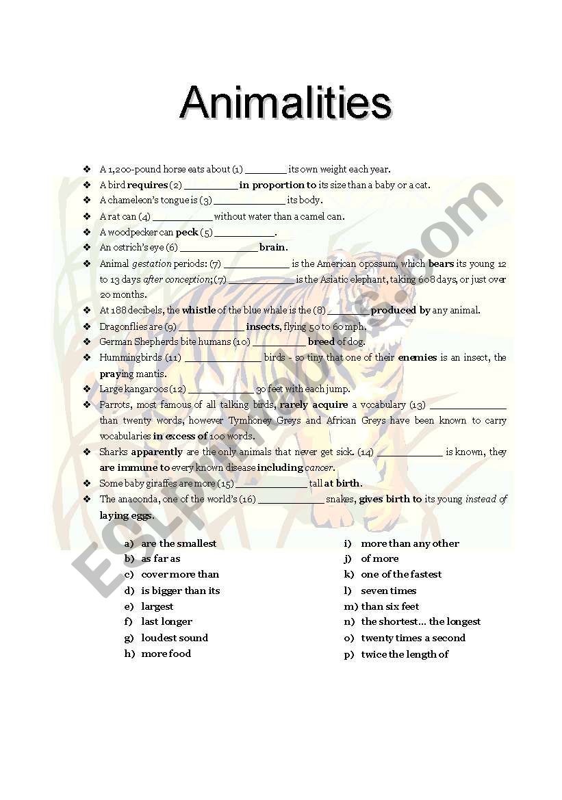 Animalities worksheet