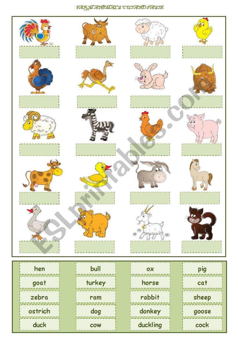 Farm Animals worksheet