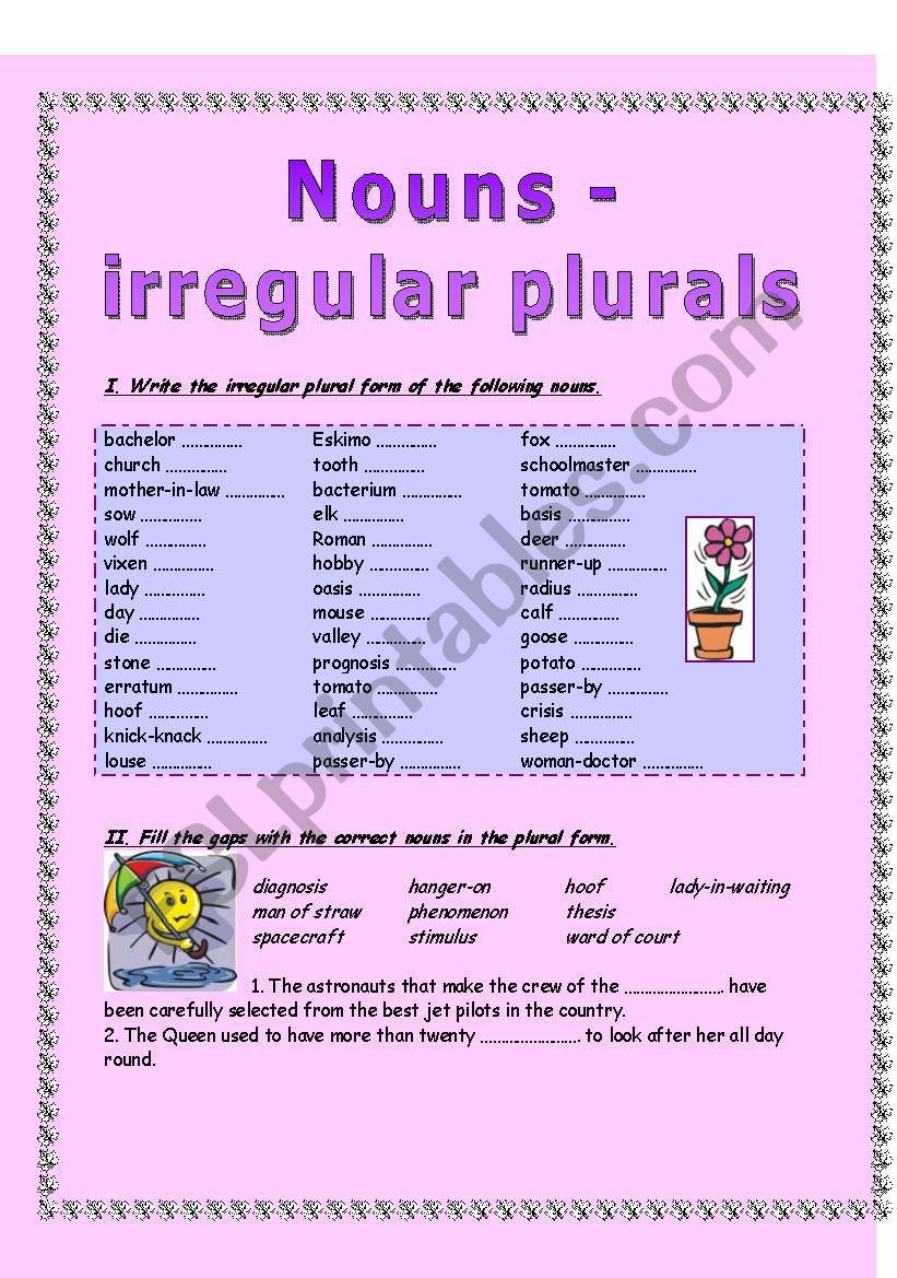 NOUNS - IRREGULAR PLURALS - 2 PAGES