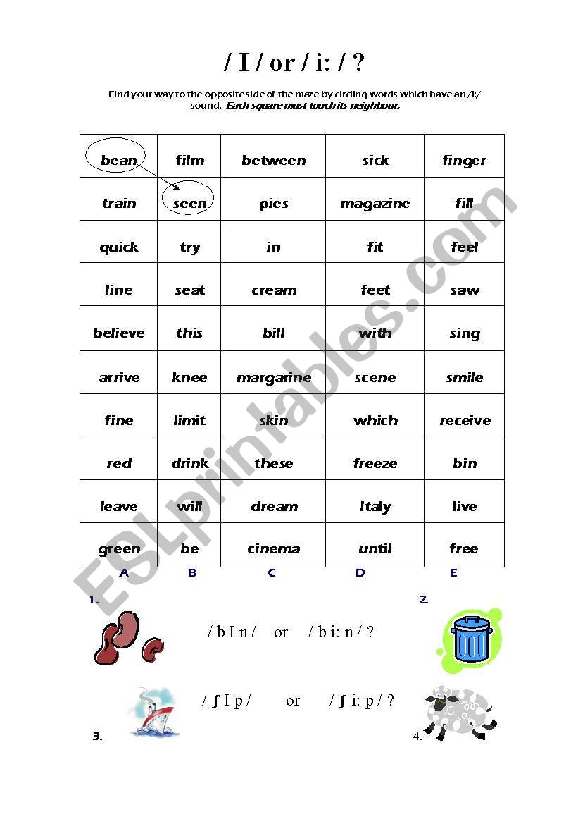 Bin or Bean? worksheet