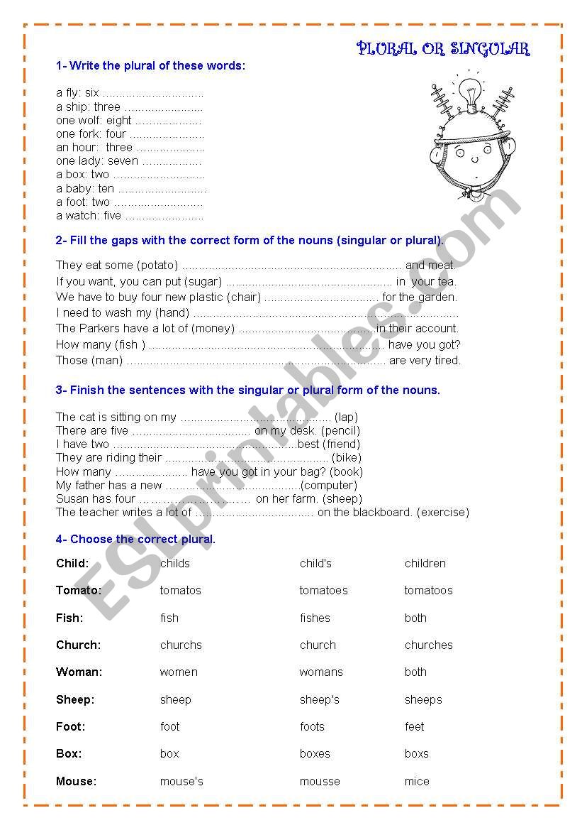 plural and singular forms  worksheet