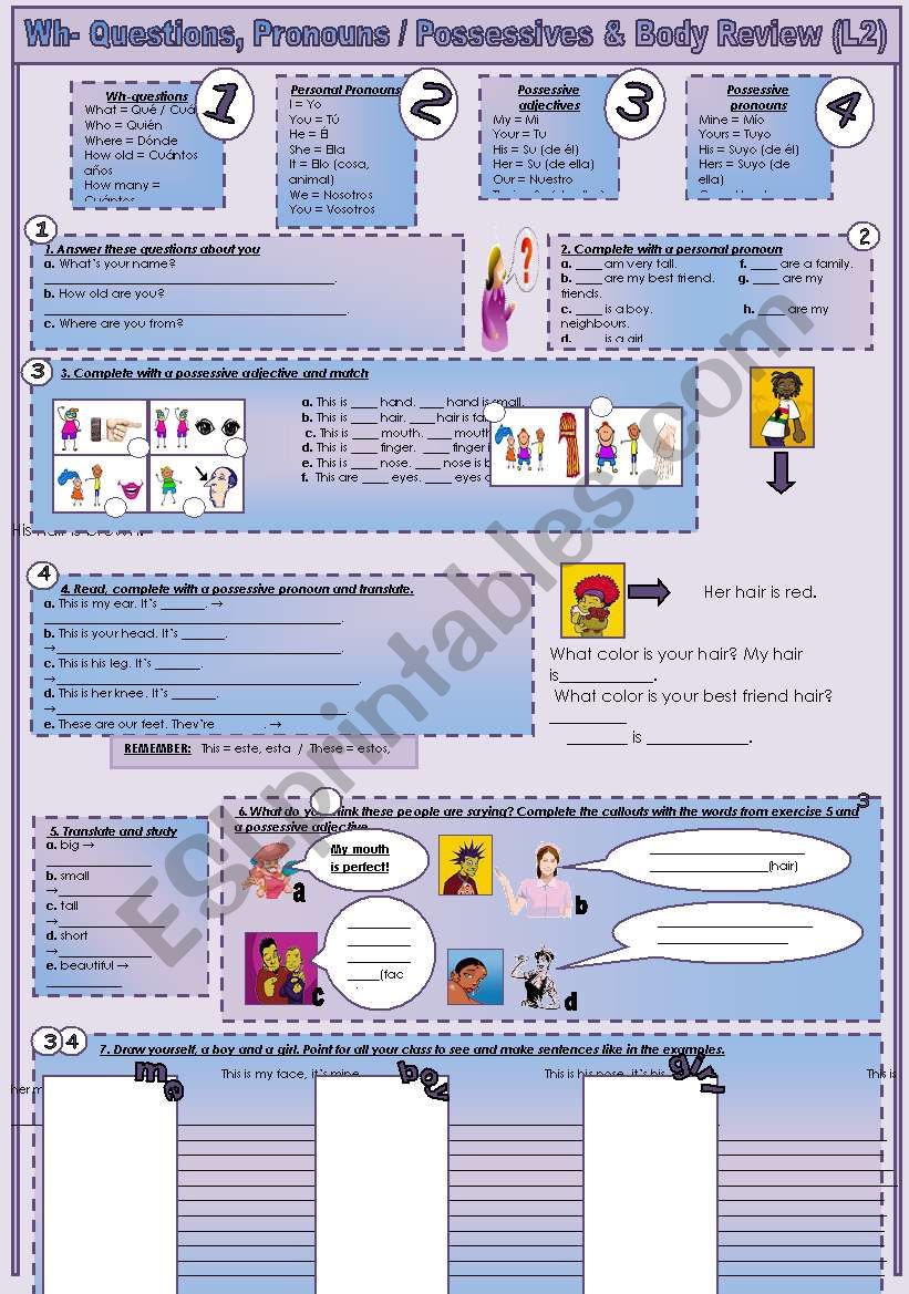 Wh-questions, pronousn and possessives