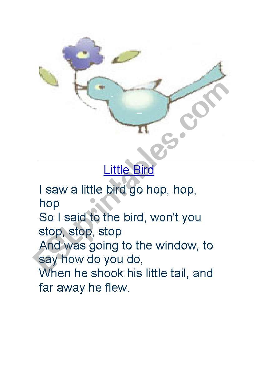  a poem about a little bird worksheet