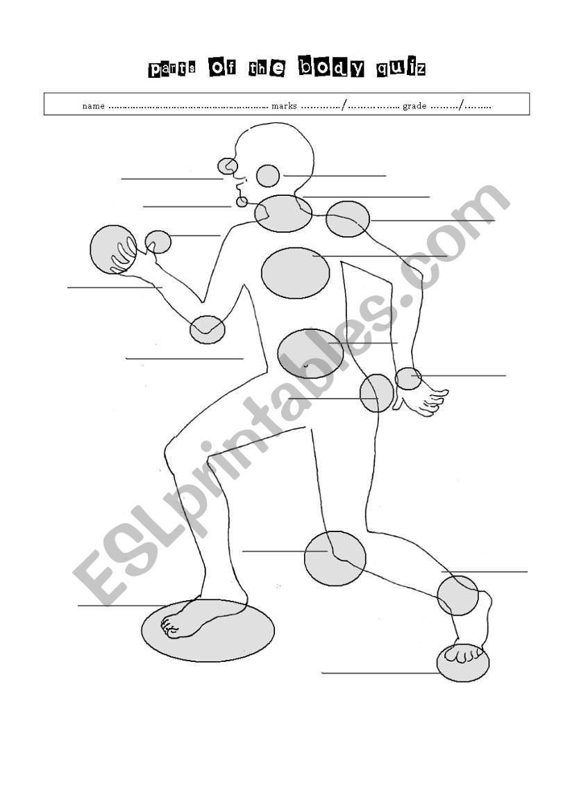 PARTS OF THE BODY quiz B&W printer-friendly :)