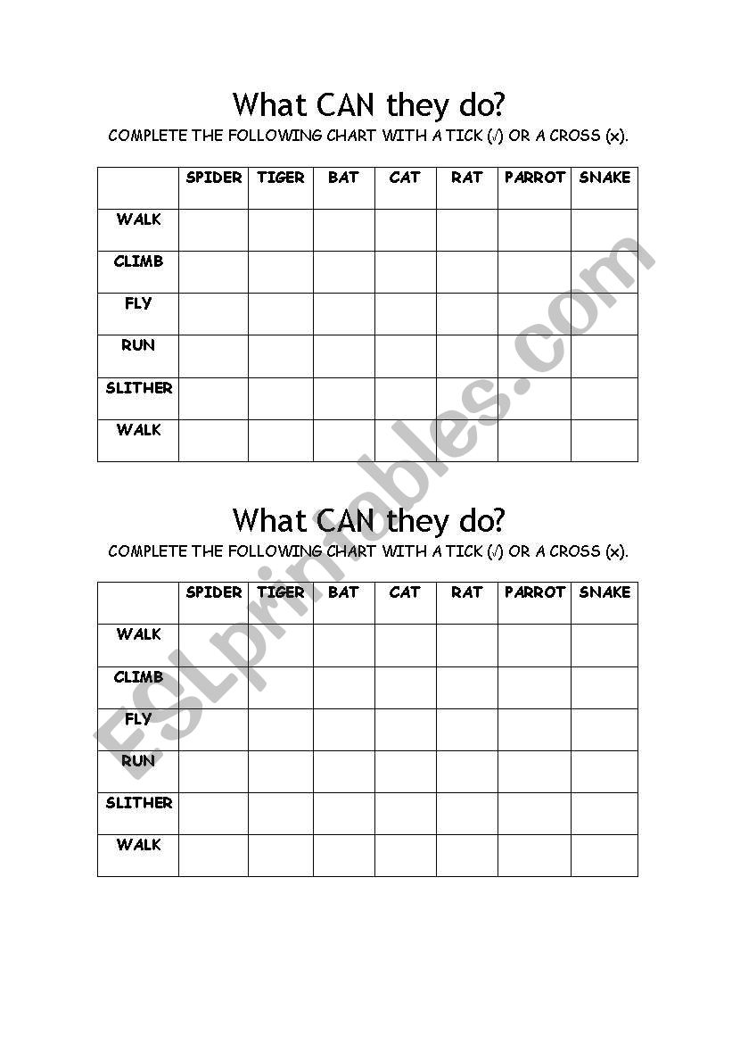 Animals worksheet