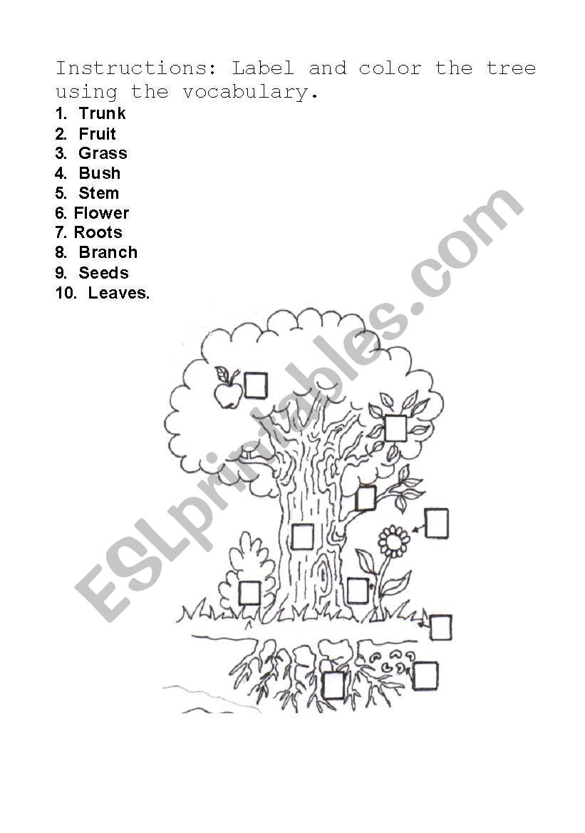 Parts of the plants worksheet