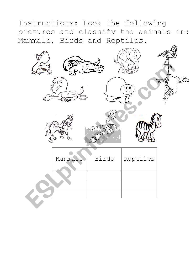 classify de animals worksheet