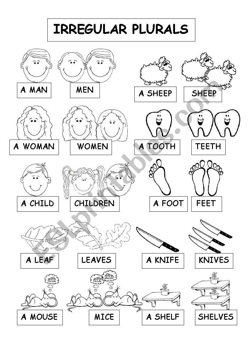 IRREGULAR PLURALS worksheet